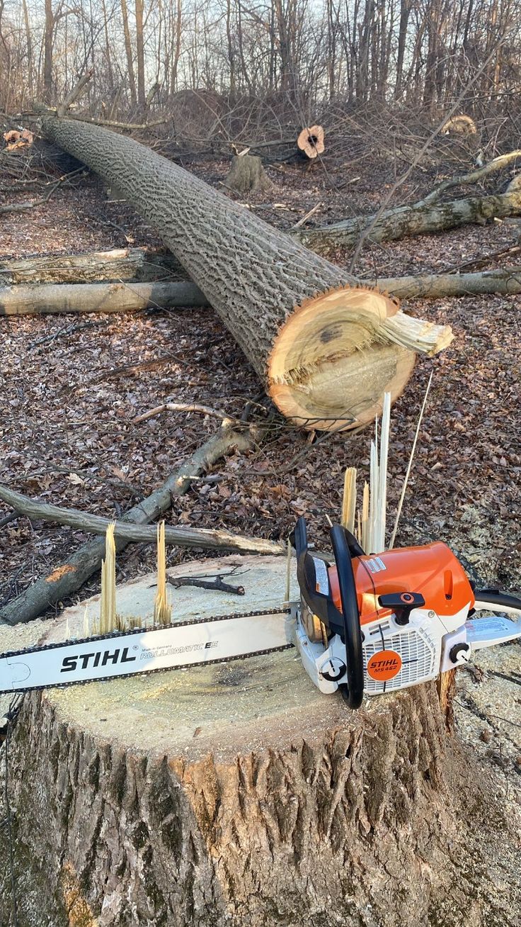 Preventive Micro-Injections — County Tree Service
