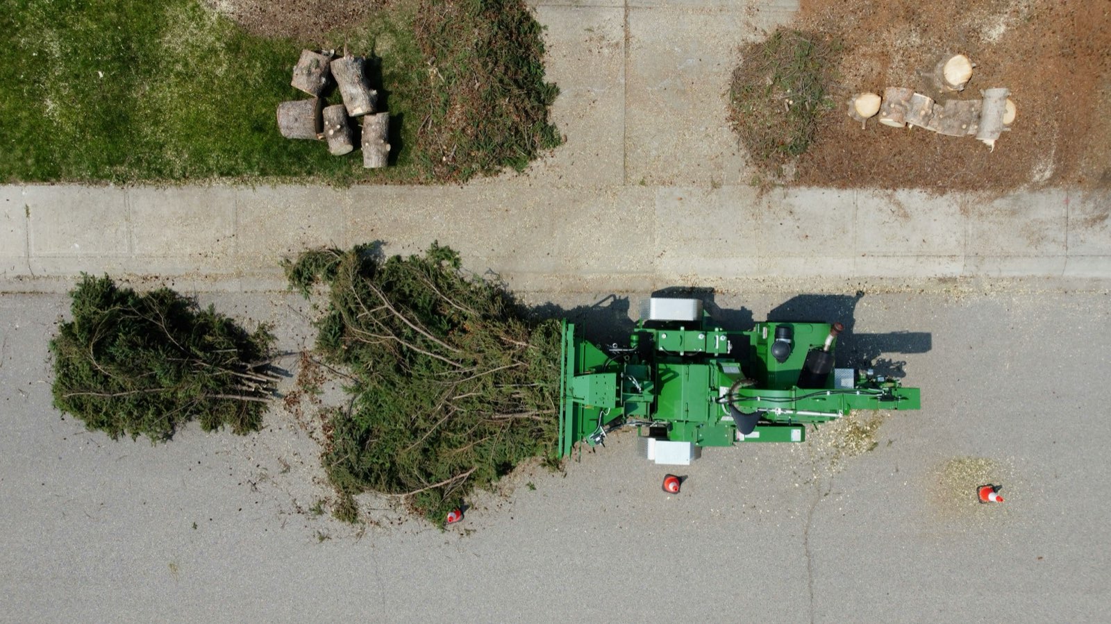 Stump Removal — County Tree Service