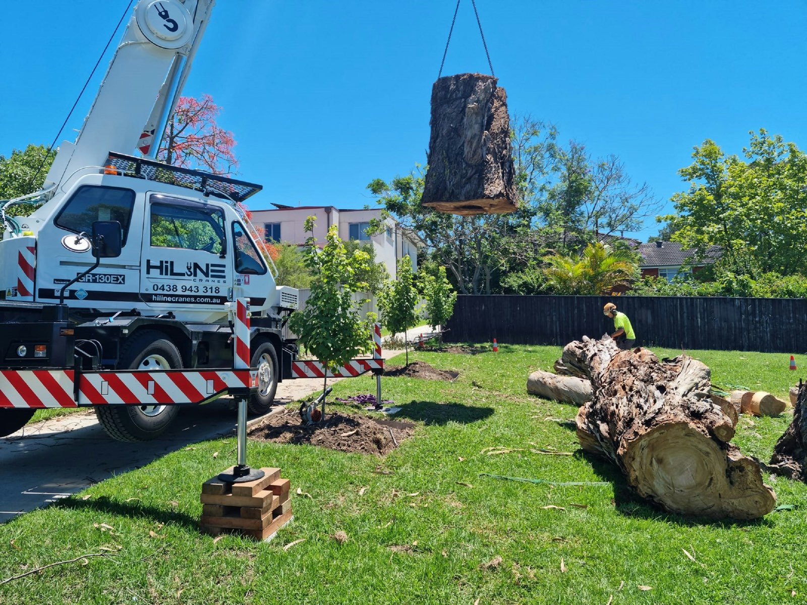 Tree Care — County Tree Service
